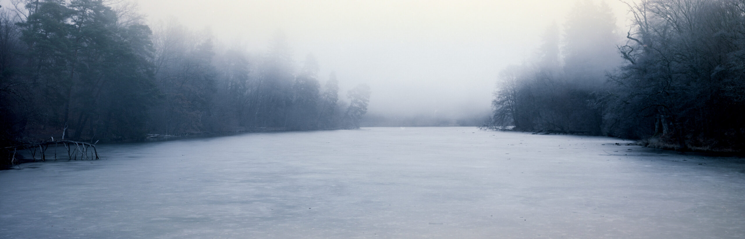 .FROZEN