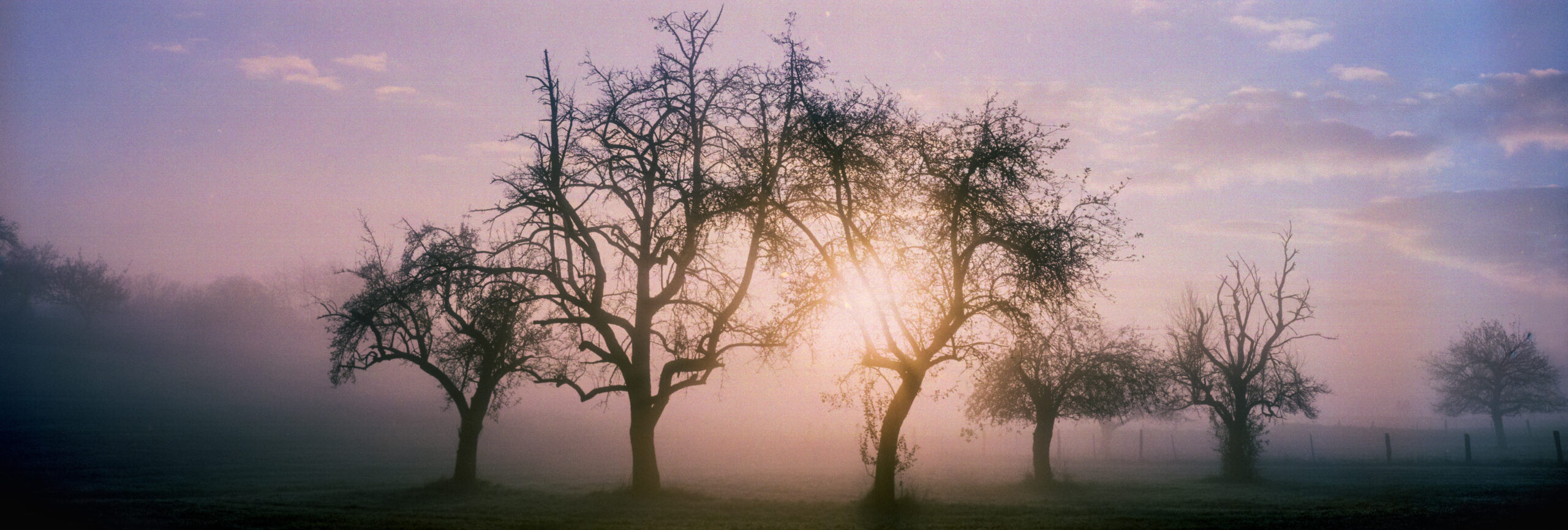 .cold winter day sunset – wie kreative